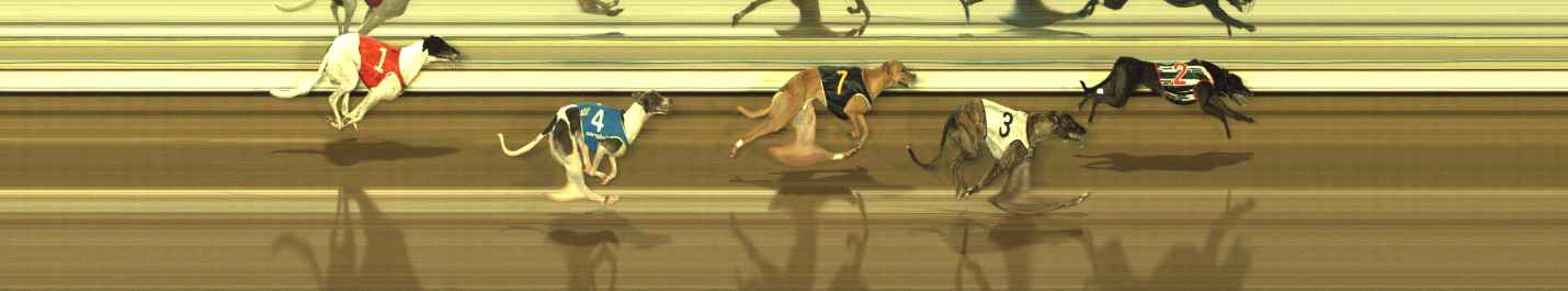 Race result finish photo